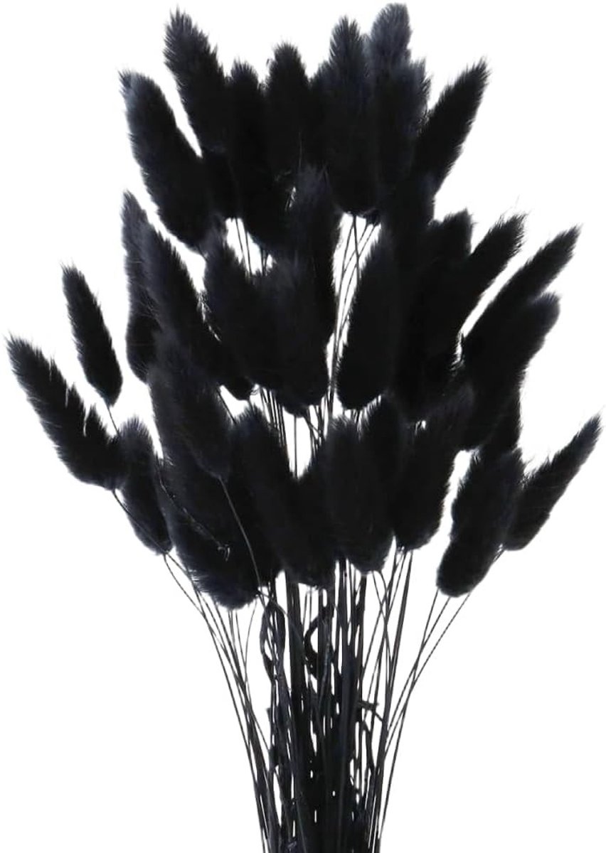 Dried Rabbit Tail Bouquets van 60 Stuks - Natuurlijke Gedroogde Grassen voor Bruiloft, Binnenhuisdecoratie en Tuinfeesten