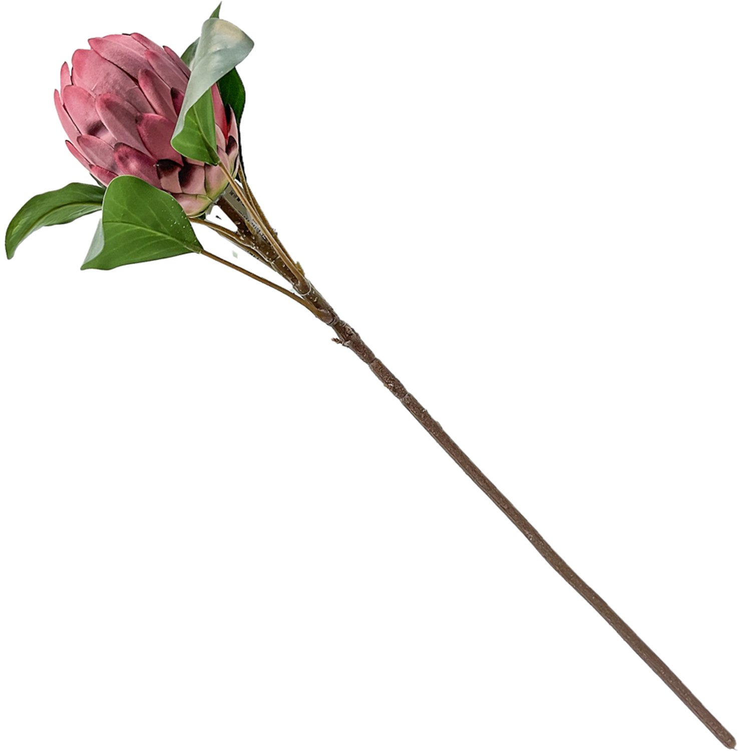 homebound by ky Kunstbloem Protea royal roze | kunsttak
