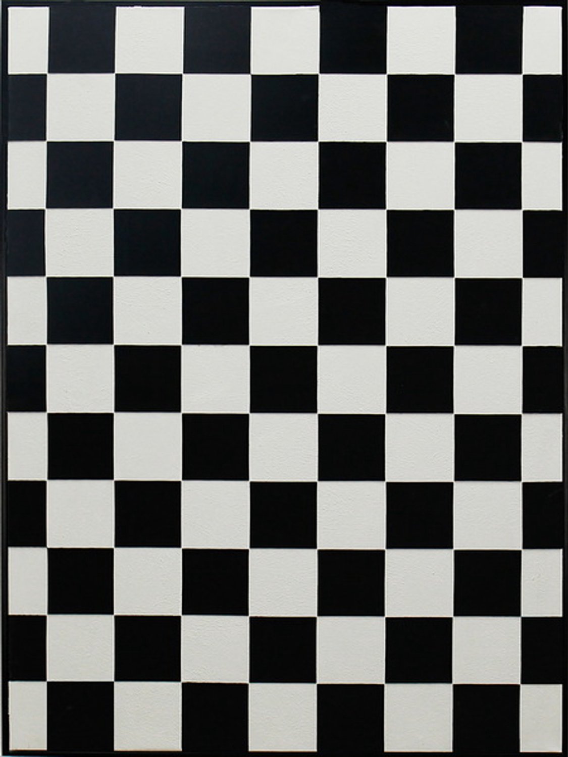 Schilderij illusie zwart/wit 60x80cm