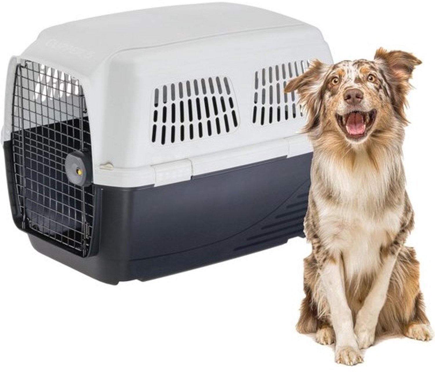 Goedgekeurde reisbench voor middelgrote honden tot 30 kg - Voor vliegtuig, auto en trein