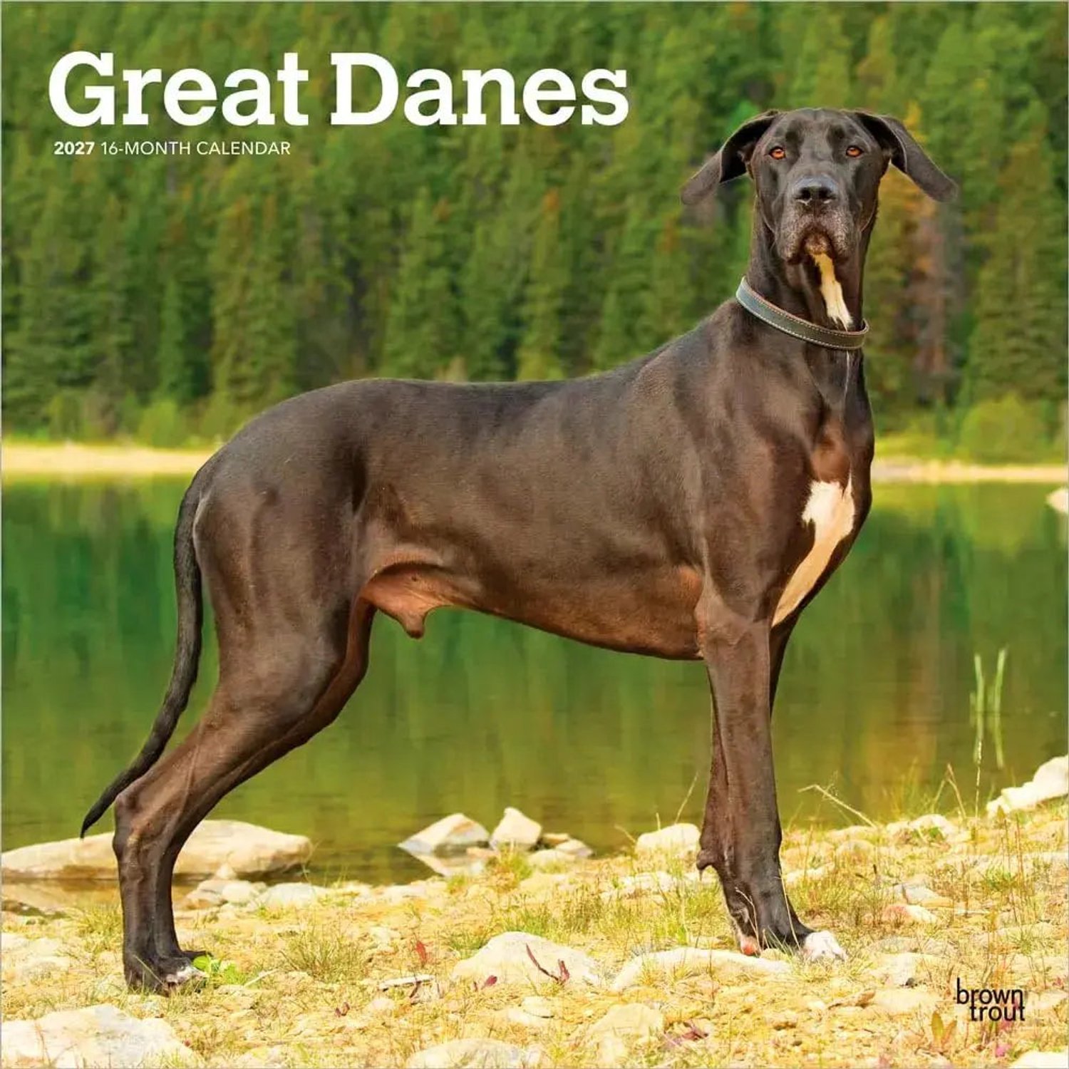 Duitse Dog Kalender 2027