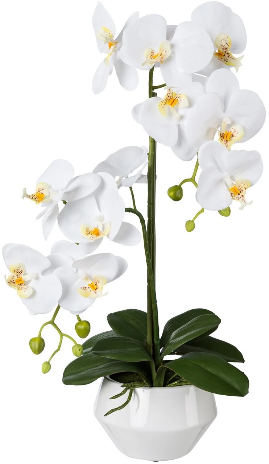 KOPU® Kunstorchidee 52 cm - Wit - Witte keramische pot - Phalaenopsis