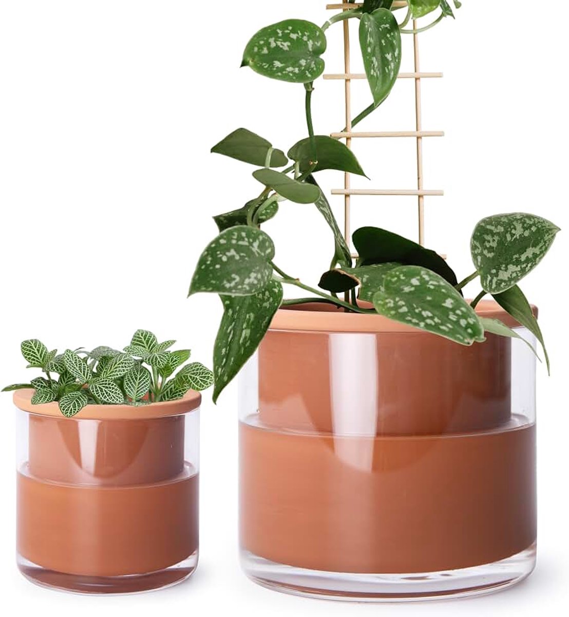 Vine 4 Inch 6 Inch Zelf Waterende Planten Potten, Ontwerp Terracotta Potten voor Planten, Indoor Cilinder Terra Cotta Planter met Glazen Vaas Set, 51-A-G-46