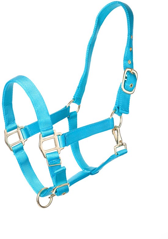 Turquoise halster met gouden gespen en ringen.