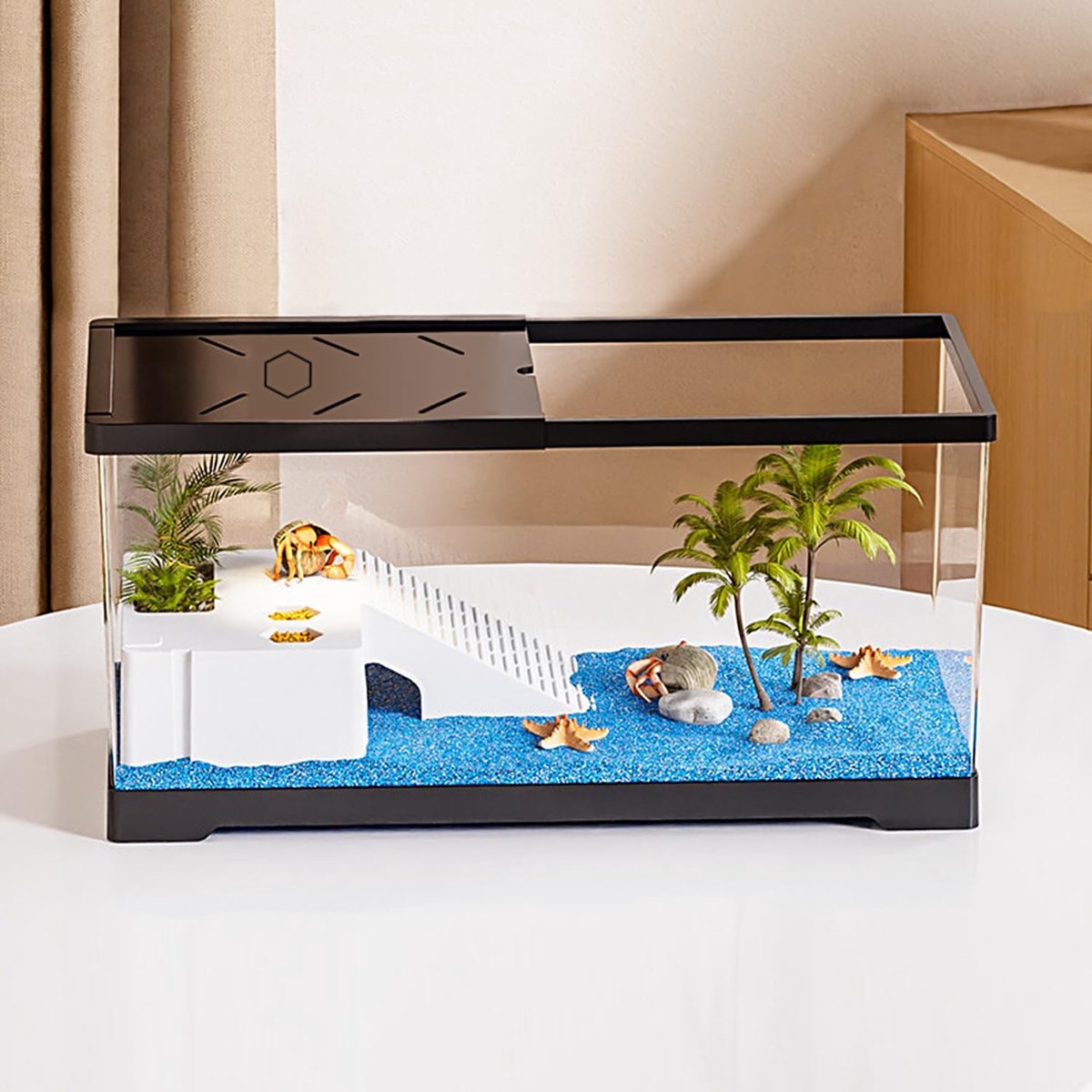 Schildpaddaquarium met bodemdraine, 40 x 20 x 22,5 cm voor jonge schildpadden, waterkrabben, krabben, amfibieën en reptielen (zwart)