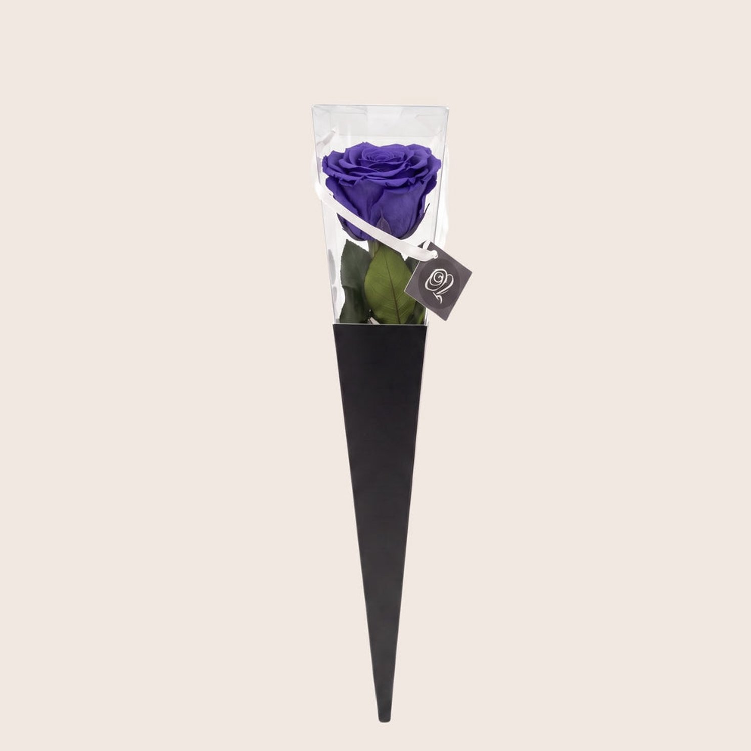 Charle Roses Icon - Echte houdbare roos met steel - 50 cm - Amethyst paarsblauw - in cadeauverpakking