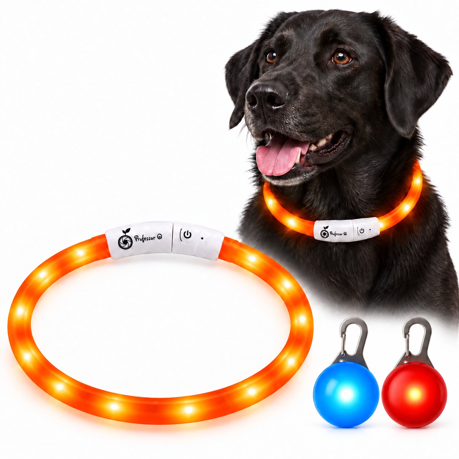 Professor Q LED Hondenhalsband Set - Oranje S 36 cm - USB Oplaadbaar - 3 Lichtstanden - Met Blauw en Rood LED Lampje