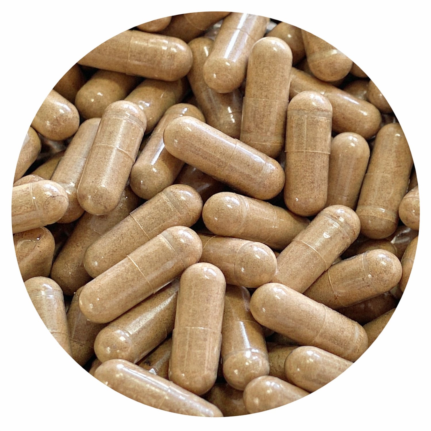 Sam's Superfoods - Cordyceps Capsules - Biologisch - 60 stuks