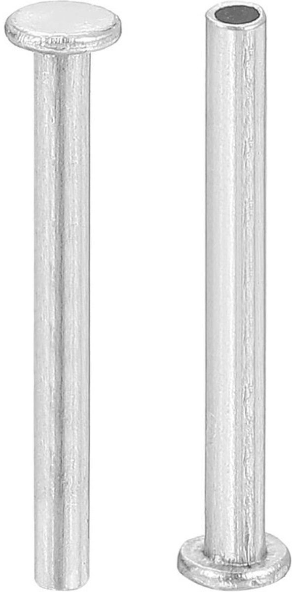 Halfronde aluminium klinknagels 2 mm x 18 mm - 50 stuks - zilver