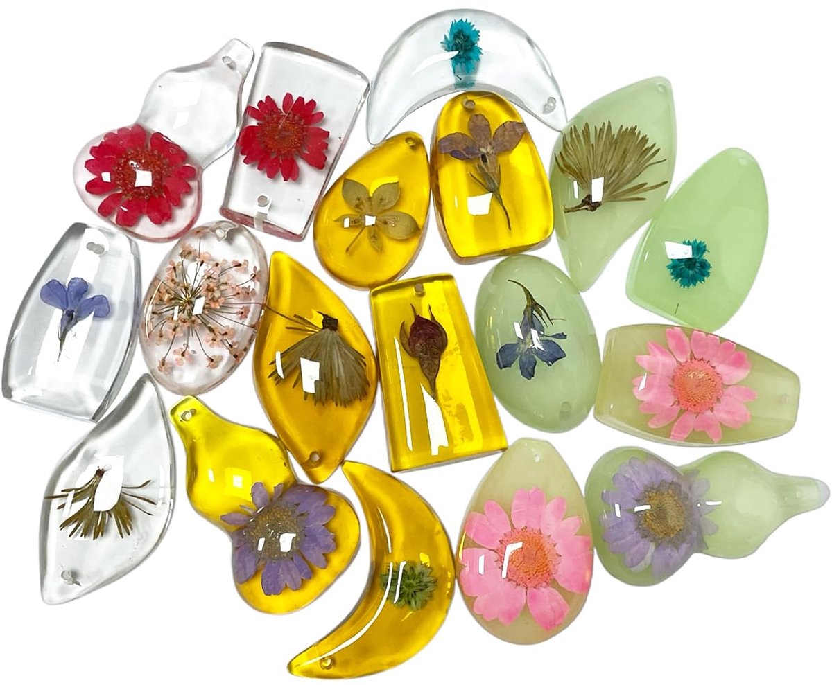 Fossielen, barnsteenfossielen, verschillende plantenexemplaren, in hars geconserveerde planten, educatief speelgoed voor kinderen en wetenschappelijke collecties, willekeurige