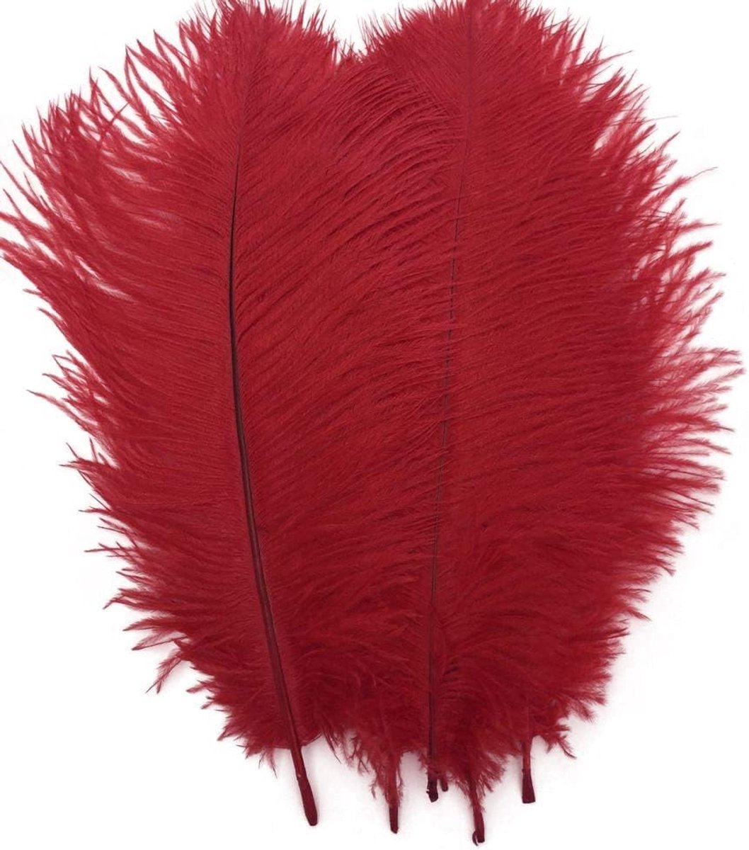 Rood 10-12 inch 25-30 cm Struisvogelveren Woondecoratie DIY Craft Pack van 10