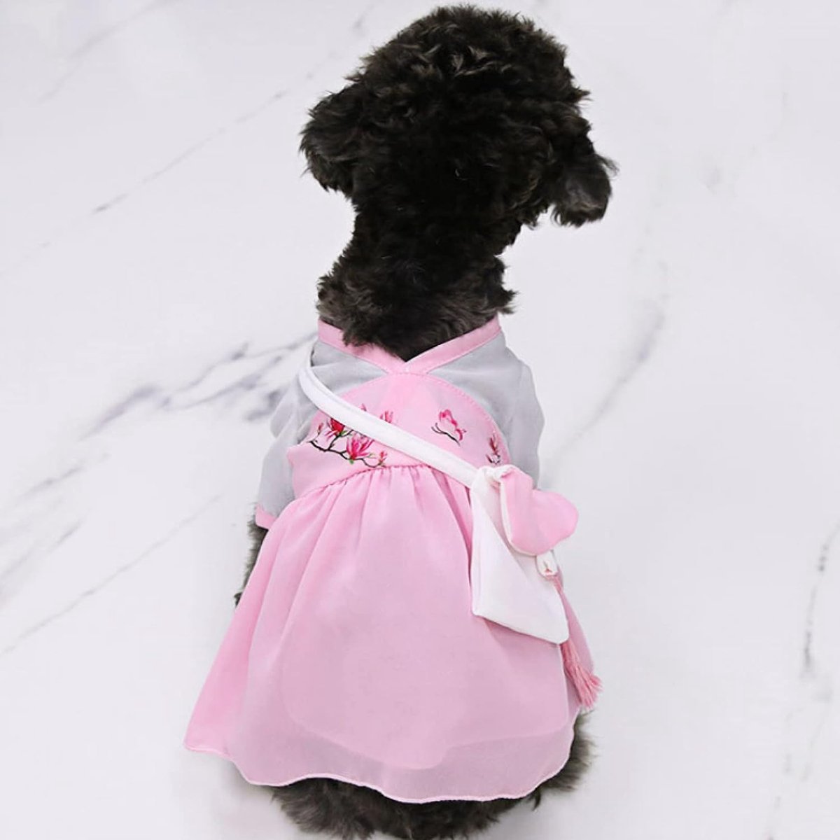 Chinese stijl Hanfu huisdier hond jurken chiffon kat kleding lente schoudertas hond rok zomer kat jurk voor puppy kitten honden of katten Halloween