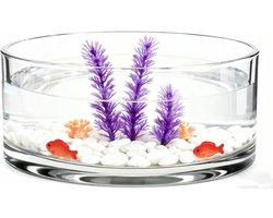 Grote glazen vaaskom terrarium succulente plantenbak: glazen vaas lucht plant display decoratief middelpunt bloemen container vis kom voor thuis bruiloft 20x20cm glazen containers