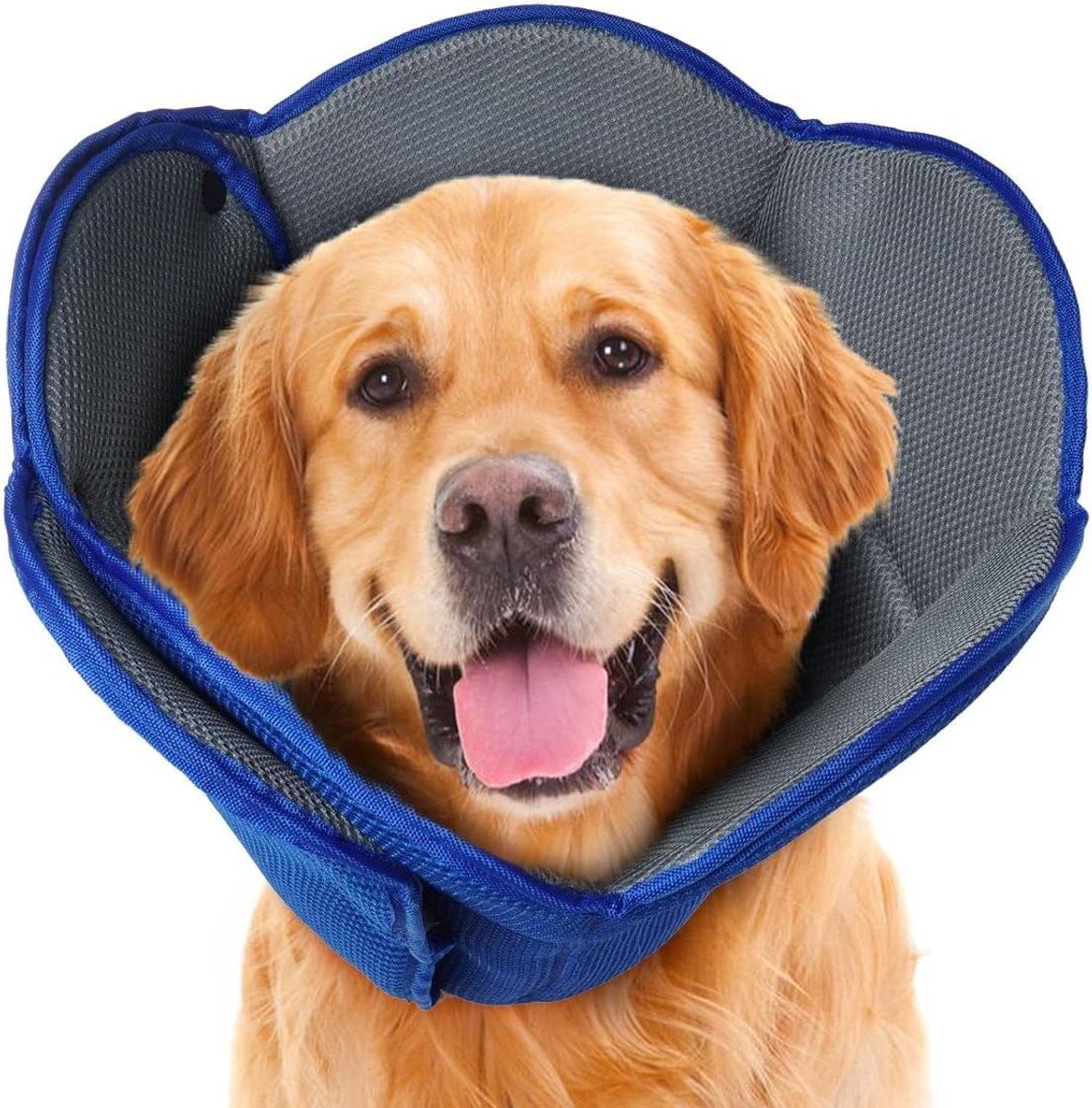 Herstelkegel Hond - Zachte Kegel Elizabethaanse Kraag - Bescherming Wonden - Ademend Sandwichgaas - Verstelbaar - Blauw