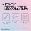 Iconen voor haarkleuring, hitte styling en omgevingsfactoren. Tekst: 'Instantly Repair & Prevent Breakage'.