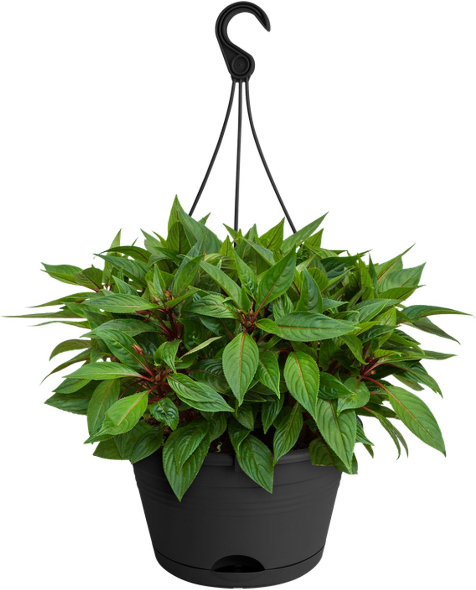 Elho Green Basics Hangschaal 28 - Bloempot voor Balkon Buiten