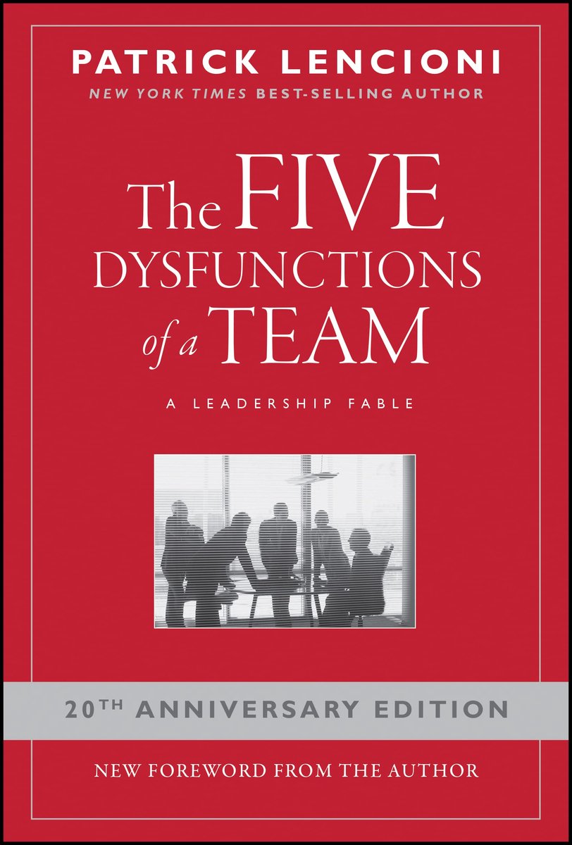 Dailygoods- Team - Vijf Dysfuncties - Leiderschap - Fabel - 20e Verjaardag - Analyse en Actiestappen - Teamwork