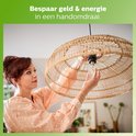 Vrouw met rode haren vervangt lamp in een rotan lampenkap. Tekst: Bespaar geld & energie.
