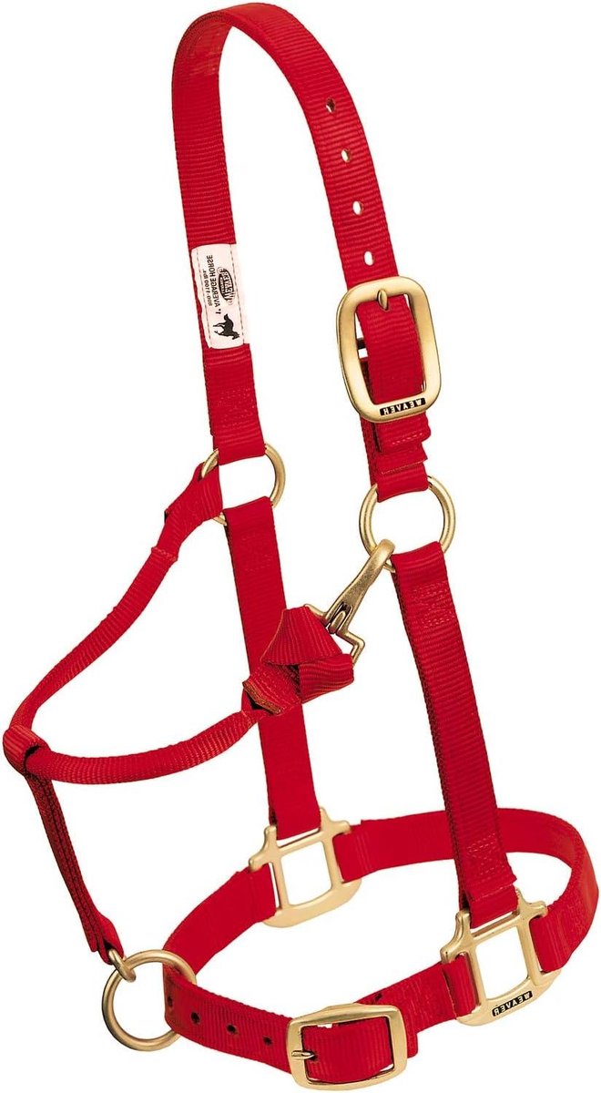 Paardenhalster - Trekpaard Halster - Paardrijden - Verstelbaar Nylon - 1 inch - Rood