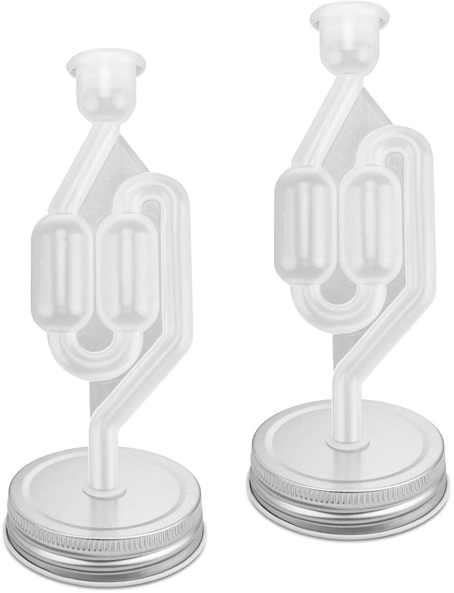 Dailygoods - Set van 2 Fermentatiebuisjes met Inmaakglasdeksel