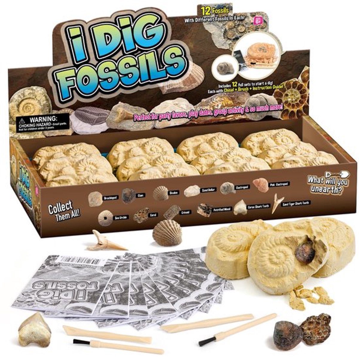 Fossielen Opgravingsset - 12 Echte Fossielen - Archeologie Speelgoed - Opgravingsset voor Kinderen - Feestcadeaus - Inclusief Penselen/Beitels - Opgravingskit