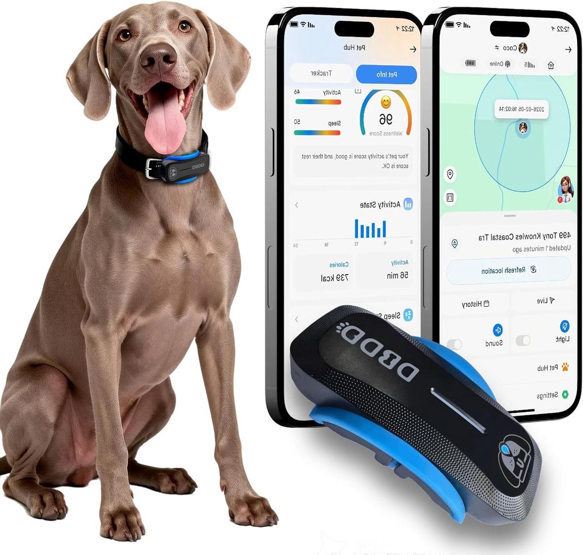 Huisdier GPS Tracker - Honden Tracker - Veiligheid Thuis - AI Gezondheidsbeheer - Voor Honden 18kg+ - Zwart