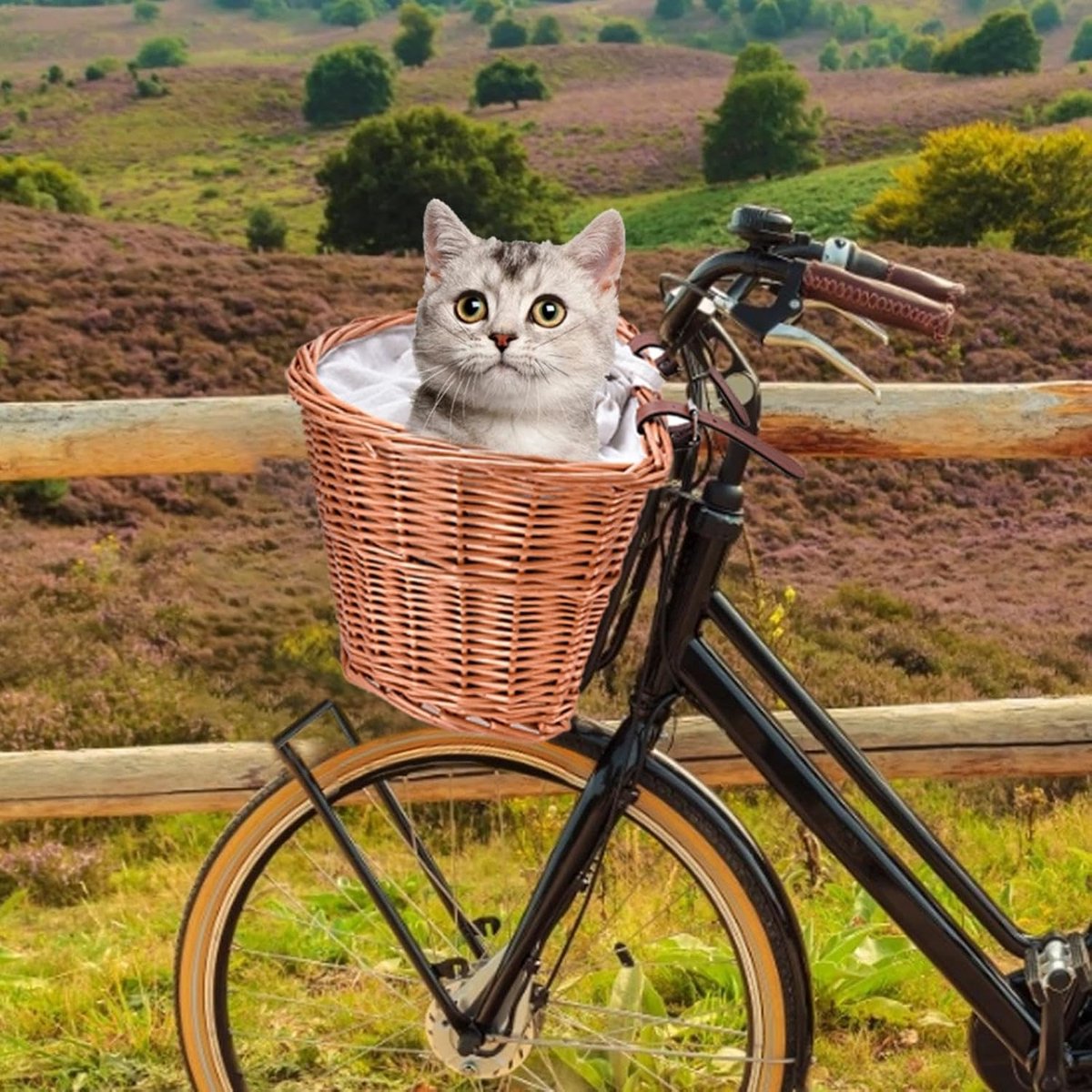 Rieten Fietsmand - Fietsmand met trekkoord - Boodschappen Vervoeren - Handgeweven en waterdicht - 36 x 25 x 22 cm