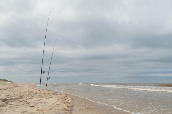 Sand Spike - Hengelsteun Strandsteun - Vissen op het Strand - Verstelbare Butt Cup - 120cm - Veelkleurig — afbeelding 4