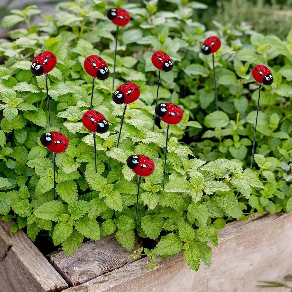 Lieveheersbeestje Tuinpalen - Decoratieve Plantenstekers - Tuin Decoratie - Fijne Afwerking - 10 stuks - Rood