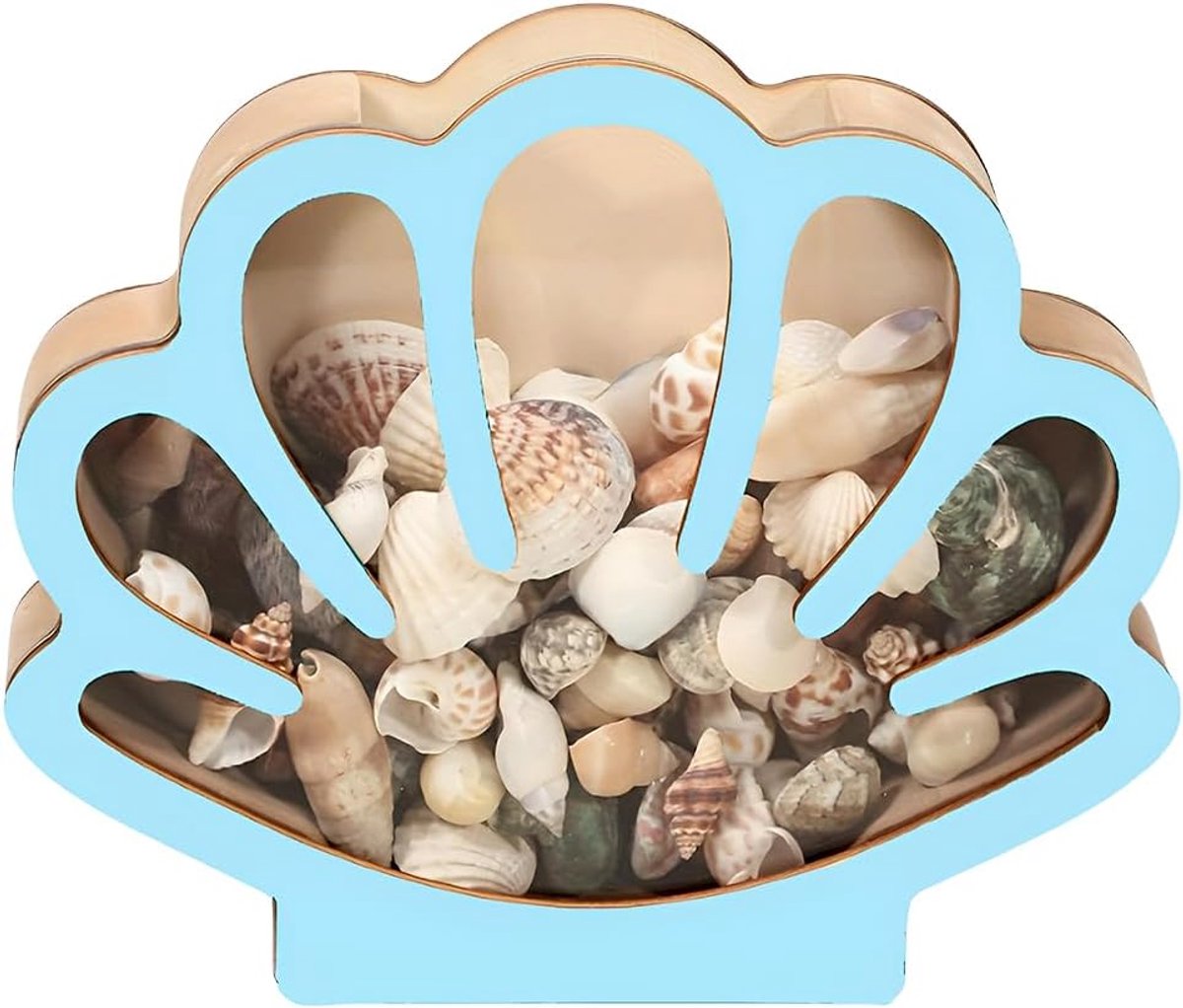 Presentatiedoos voor schelpen, standaard, hout, met transparant venster, acryl, kleine ster, zee, blauw, schelp, tand, haai, vitrine, voor collectie, decoratie, marine, strand, 15,5 x 13 x