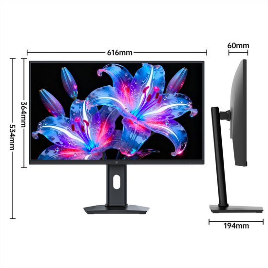 Monitor met afmetingen van 616mm x 364mm (scherm) en 534mm (totaal), diepte 60mm, basis 194mm.