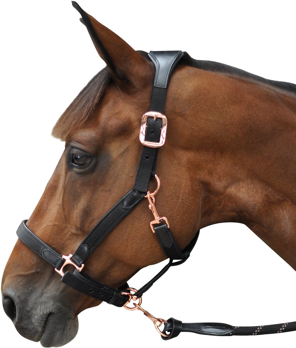 Nylon/leren halster Flags&Cup