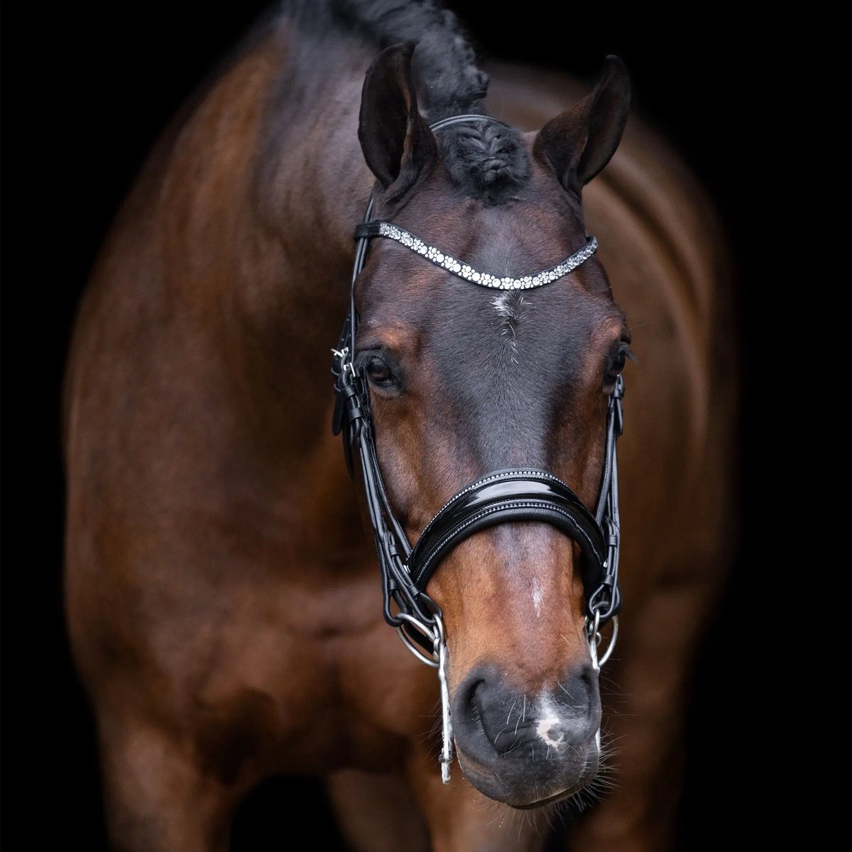 Hoofdstellen Imperial Riding Olympia