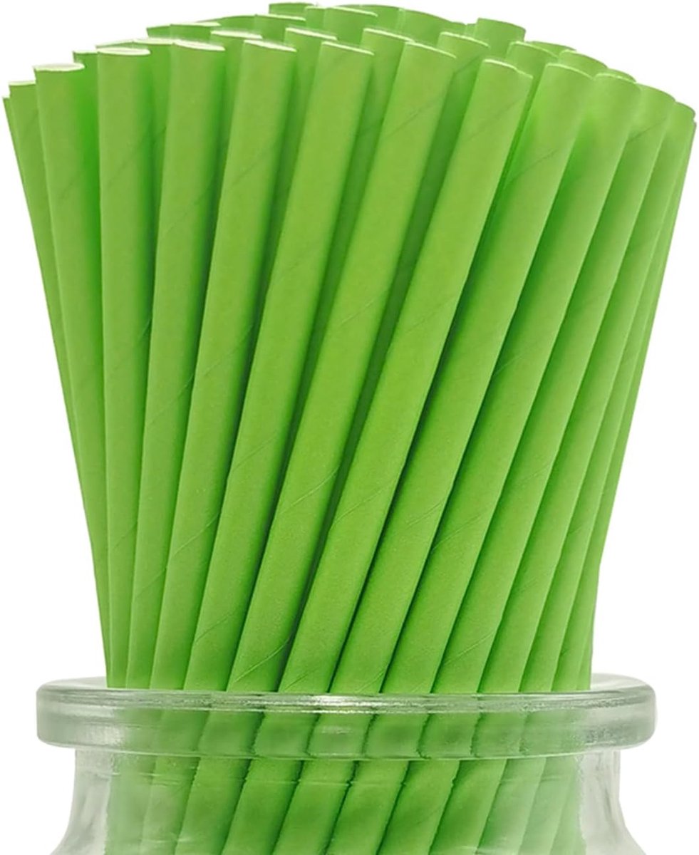 SnelShoppen - Groene Papieren Rietjes 19.8 cm - 100 Stuks Biologisch Afbreekbare Rietjes - Perfect voor Feestjes, Kerst, DIY Decoratie en Dagelijks Ge