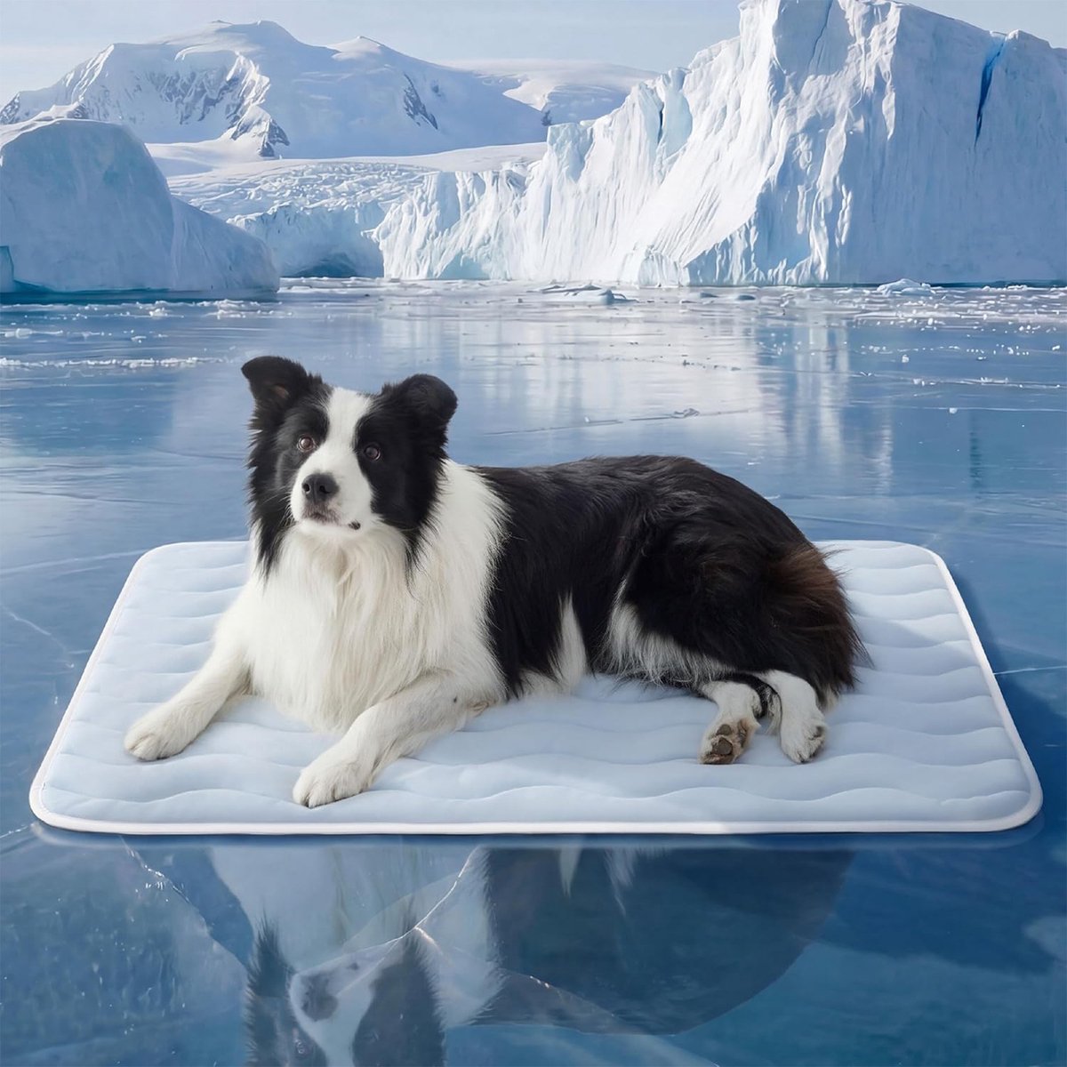 Koelmat voor Honden Extra Groot - Q-Max>0,4 Dun Ademend Kratkussen voor Huisdieren met Koelvezel - Draagbaar Wasbaar Koud Kussen voor Zomer Buiten - 122 x 76 cm - Blauw