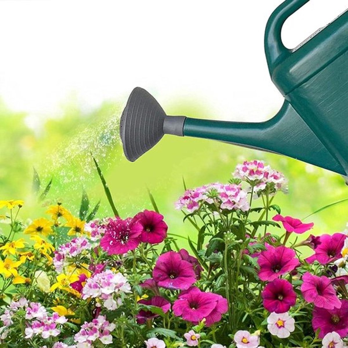 Gieters en Sproeiers voor Planten, Kamerkas en Huis - Set van 2 Stuks