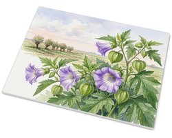 Tegeltje Nicandra - Nicandra physalodes illustratie - Botanisch tegeltje 15x20 cm