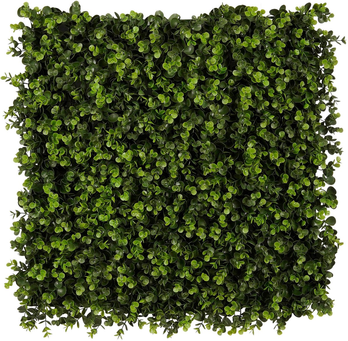 Mica Decorations Eucalyptus Kunstmatige Verticale Tuin - Kunsthaag Wandpaneel voor Binnen en Buiten - Onderhoudsvrije Kunstplanten Wand - 50 x 50 x 6 cm - Groen