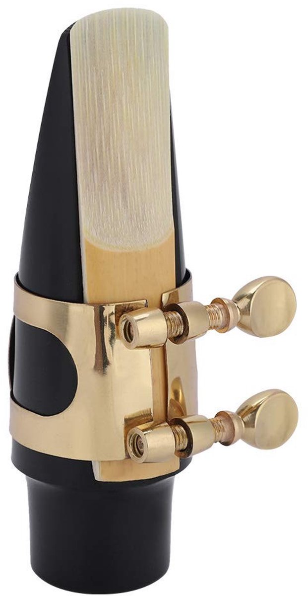Dailygoods- Sax Mondstuk Set 5 in 1 - ABS Mondstuk - Metalen Gesp - Duurzaam Riet - Sax Accessoire - Hoogwaardig Materiaal - Saxofoonmondstuk