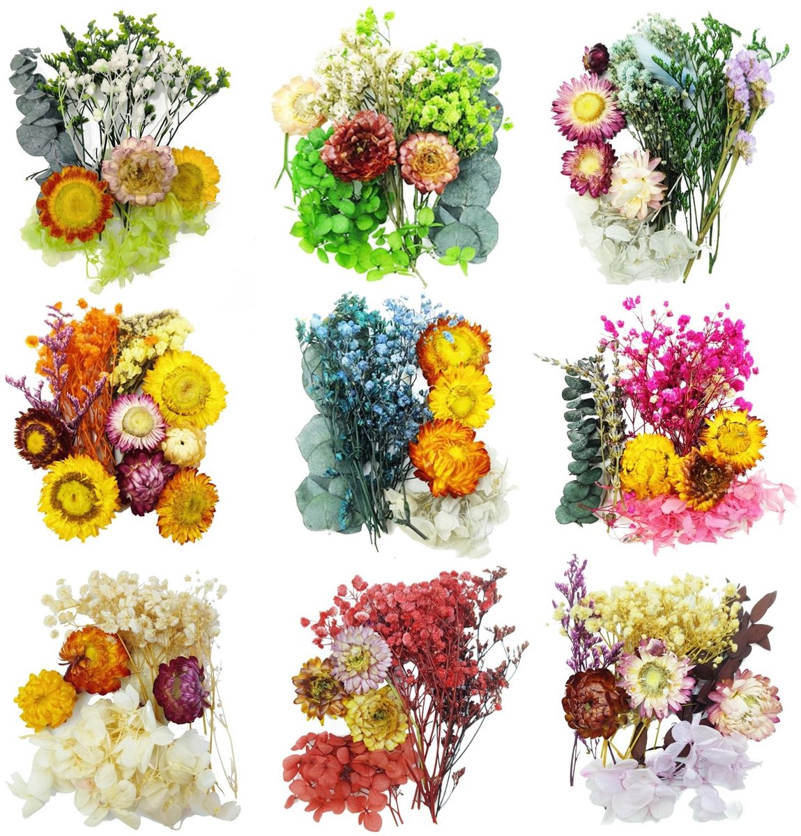 Dailygoods - TooGet Mini Gedroogde Bloemen 9 Zakken Natuurlijke Kleine Droge Bloembladeren voor Knutselen, Kleurig Gemengde Kleur Droge Wilde Bloemen Planten voor DIY Kunst, Kaarsen, Kunsthars, Sieraden