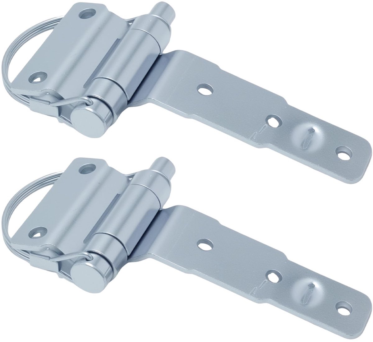 Dailygoods- Scharnieren 2 stuks - Afneembare Stalen Scharnieren - Geschikt voor Vrachtwagens/Bestelwagens/Caravans - Verzinkt Oppervlak - Duurzaam en Corrosiebestendig - Deurscharnier