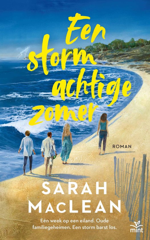 Een stormachtige zomer - cover