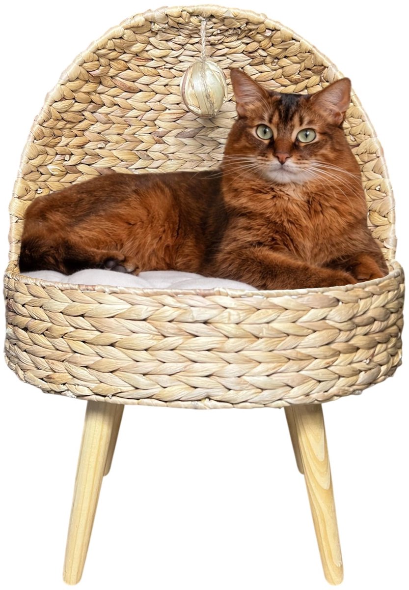Famanu – Handgevlochten kattenmand van waterhyacint met hoge houten poten, origineel design, 42 x 36 x 56 cm