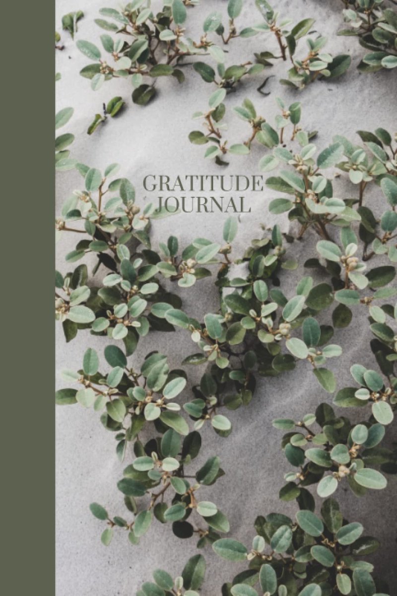 SnelShoppen - Gratitude Journal voor Iedereen: Dagelijks 5 Minuten Schrijven voor Helderheid, Affirmaties, Balans & Reflecties - Perfect voor Persoonl