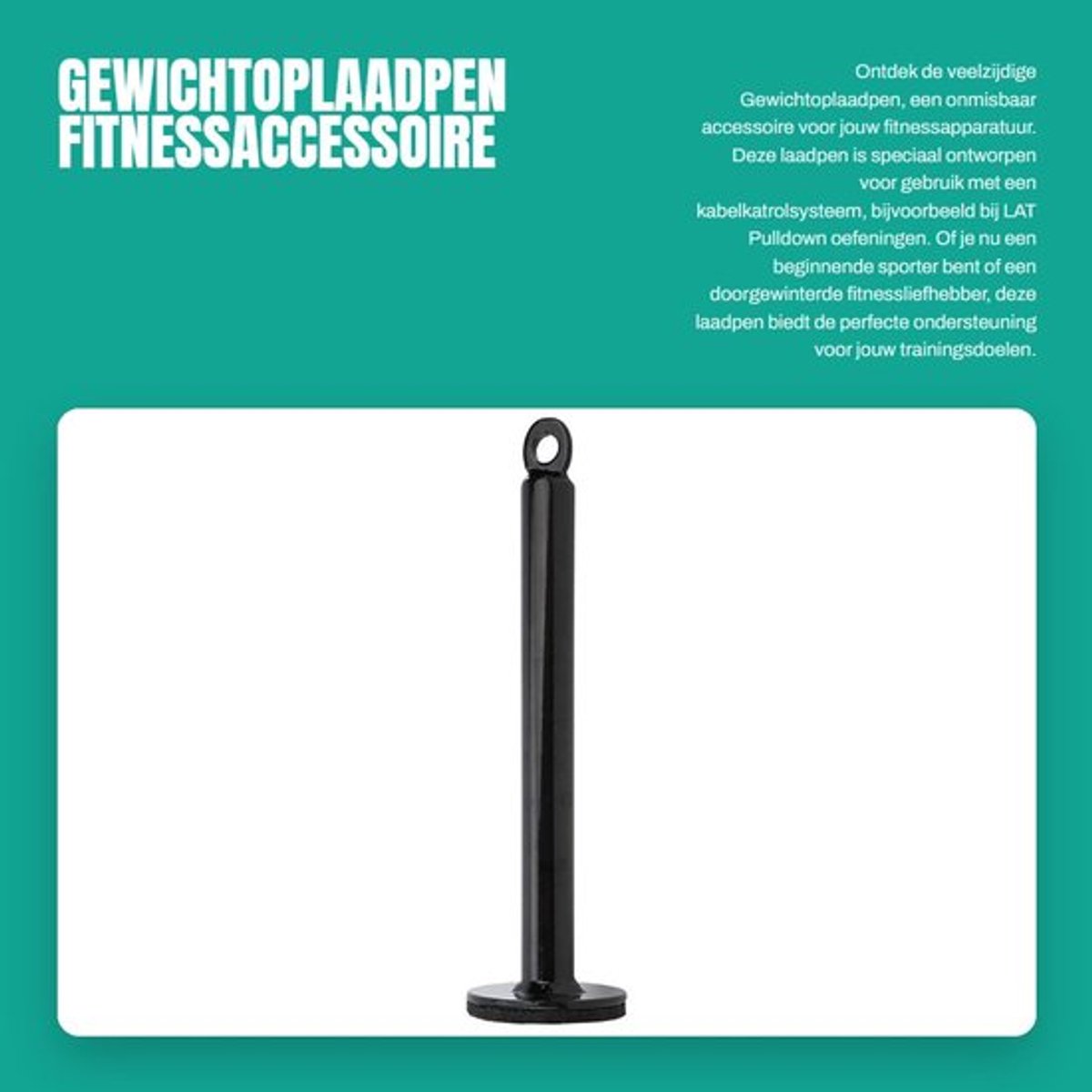 Gewichtoplaadpen 100 kg - Laadpen - Roestvrij staal - Fitnessaccessoire - Halterschijf - Gloednieuw