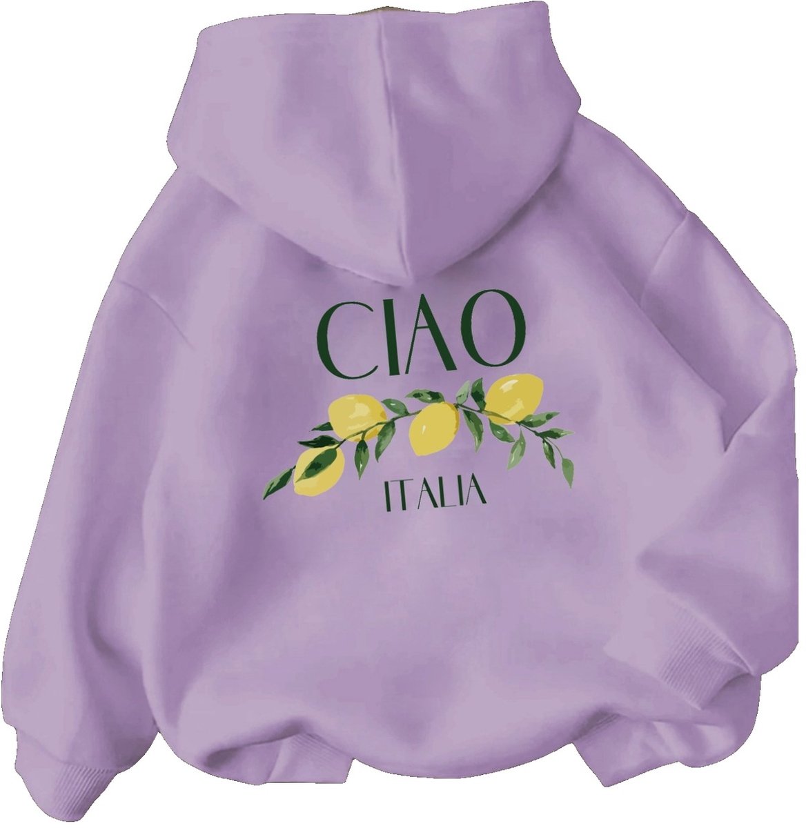 Currero Hoodie Dames Warme Hoodie Met Capuchon Comfortabele Sweater Casual Trui Pullover Damestrui Paars