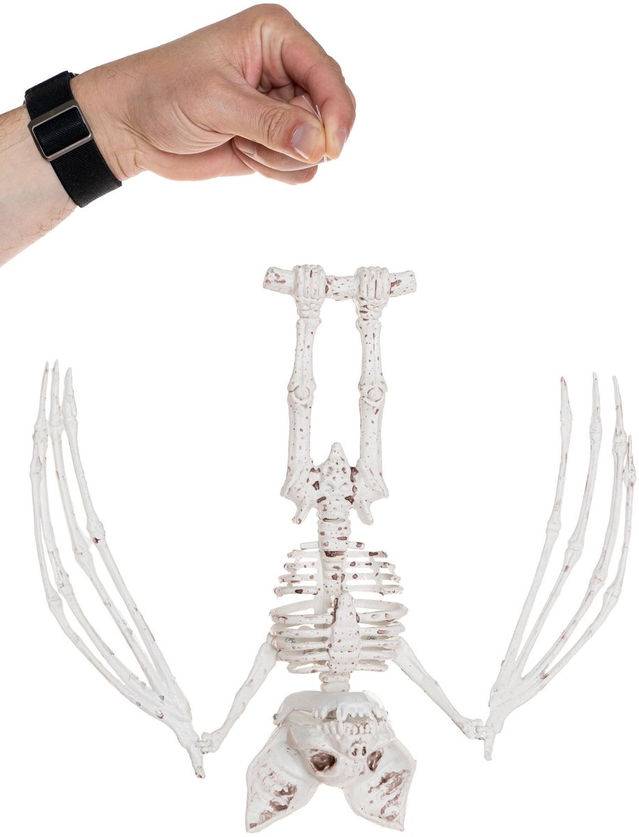 Grote vleermuis Halloween-decoratie