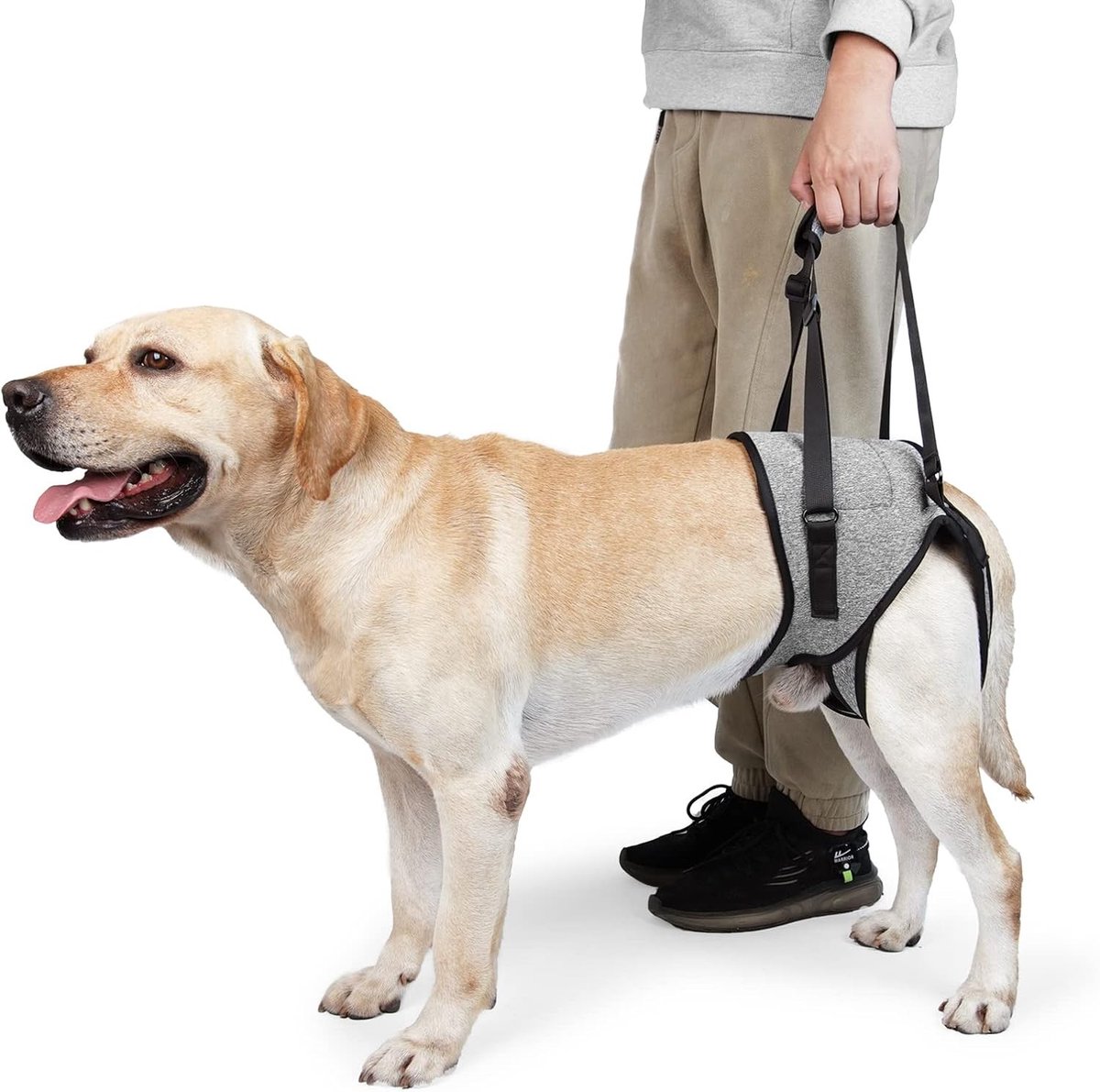 Verstelbaar Hondentuig voor Achterpoten, Ondersteuning voor Gewonde en Oudere Honden, Draaghulp met Handgreep voor Kleine, Middelgrote en Grote Honden, Mobiliteitsassistentie (Grijs, XL)