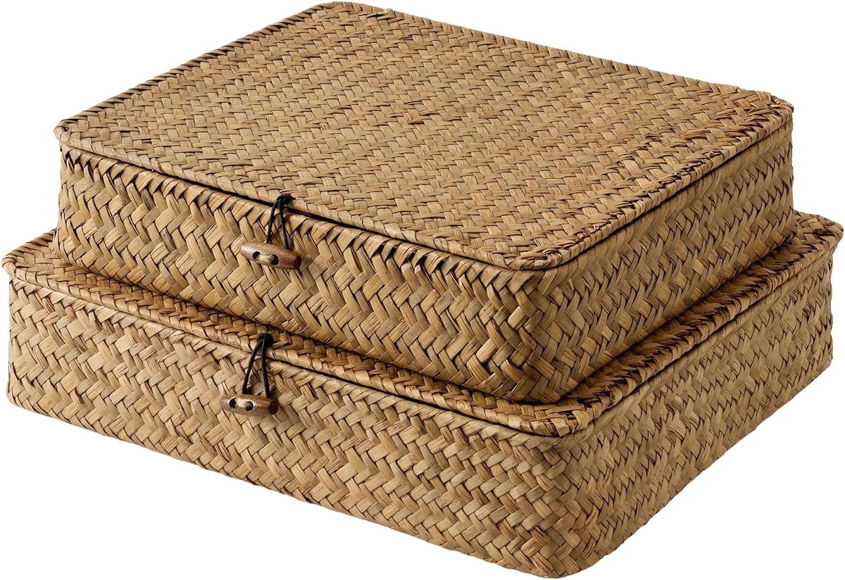 Decoratieve Wicker Opbergmand met Deksel, Platte Opbergdozen van Riet, Handgeweven Mand voor Organisatie en Opslag in Huis