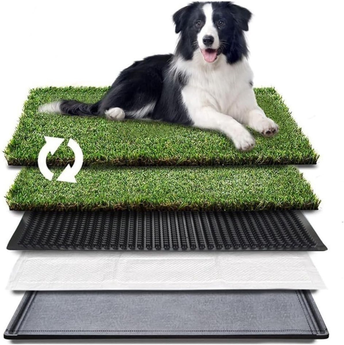 Geurloos grastrainingskussen voor honden en katten, 63 x 51 cm, ideaal voor binnentraining en zindelijkheidstraining